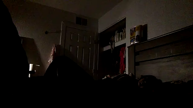 DREshots live cam preview