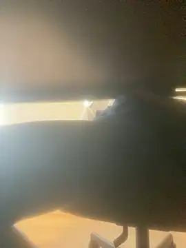 Appatjee live cam preview