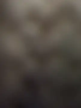 Dina_Tease