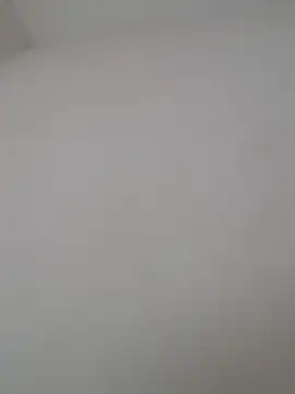 sabrinaneves
