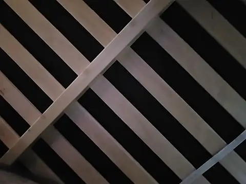 Roddog18 live sex cam