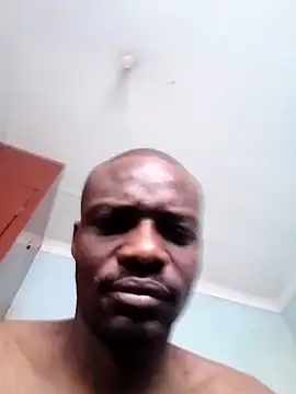 Izifebe