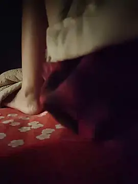-Tara-a