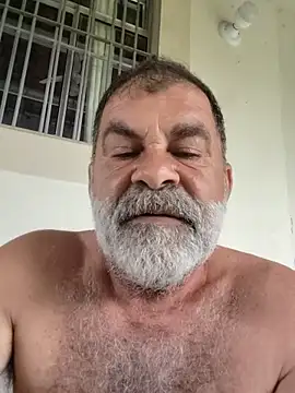 Peludo173317