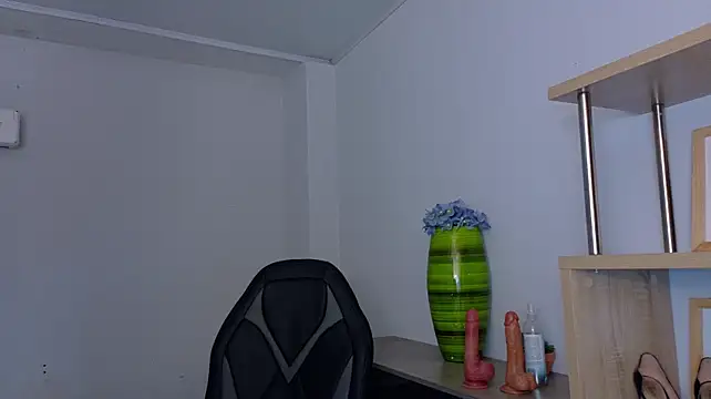 EmmiShery live cam preview