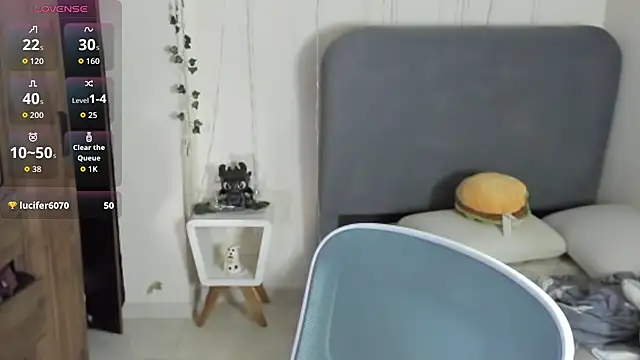 FelixSoft live cam preview