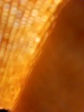 paitaxxx live cam preview