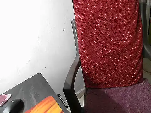 yourssecretsanta live cam preview