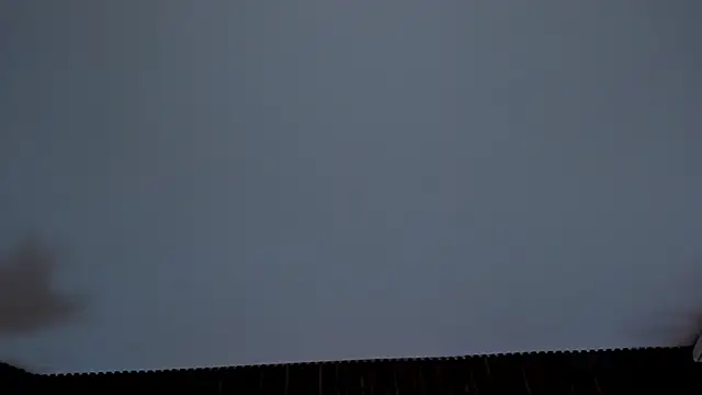 _Cherry_fox live cam preview