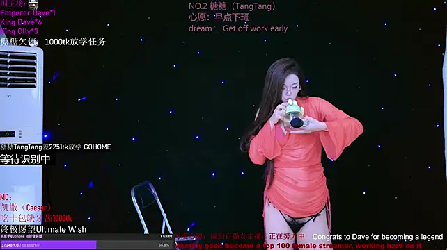 CCTW-100 webcam
