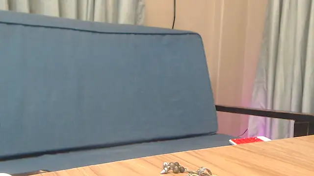 Live_View live cam preview