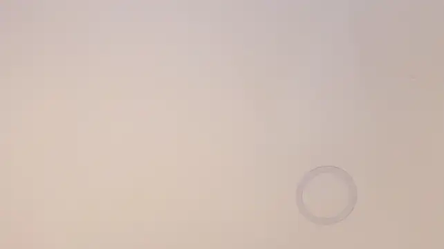 Nioki_