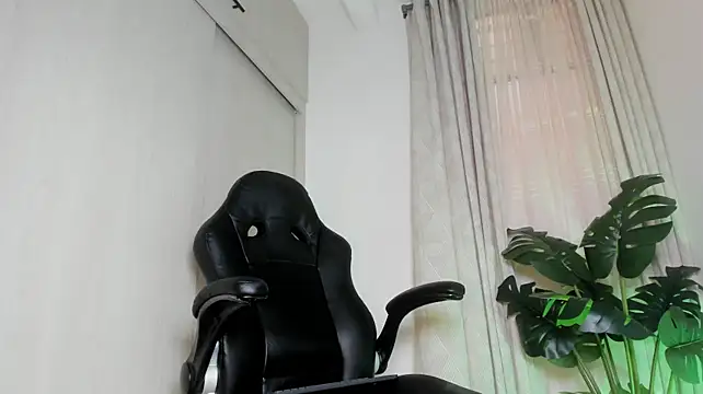 Biscuit_oliva