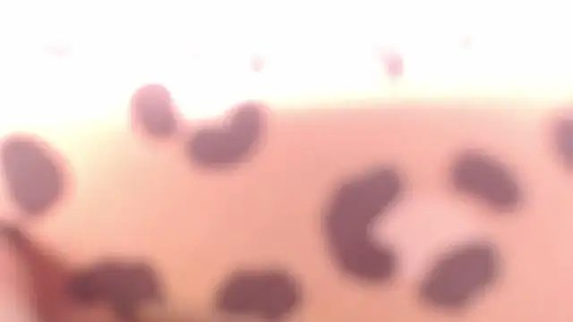 AudreyMilesTrans