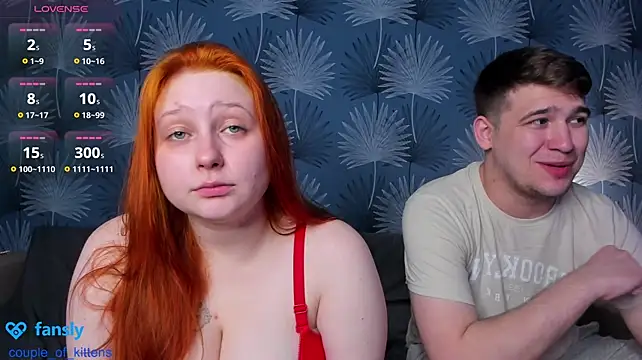 couple_of_kittens_