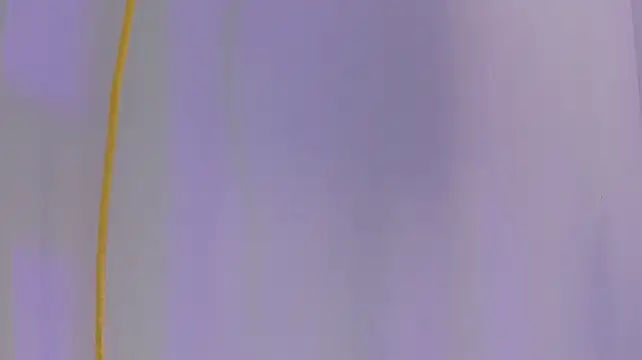 ArohomLester_