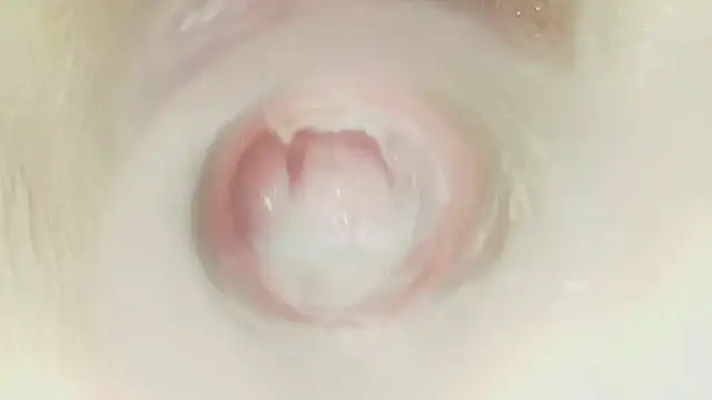 karol_stom