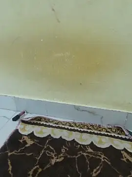 begum jaaan