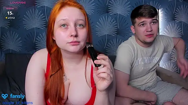 couple_of_kittens_