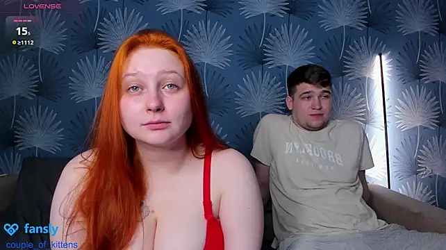 couple_of_kittens_