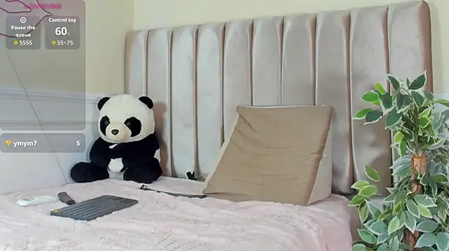 dantee_miller webcam