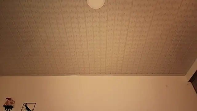 brandy_h9