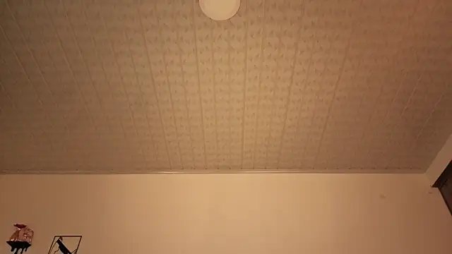brandy_h9