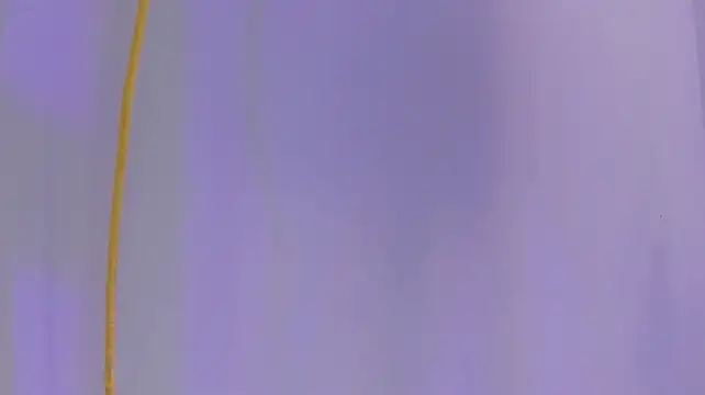 ArohomLester_ live cam preview