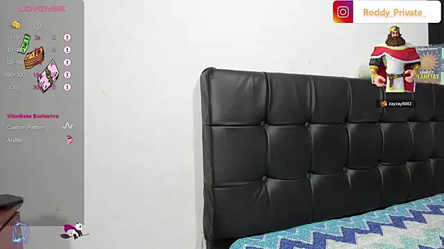 RoddyRich11 live cam preview