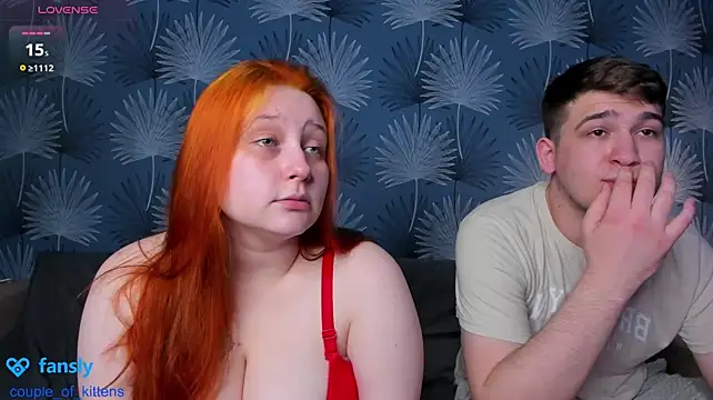 couple_of_kittens_