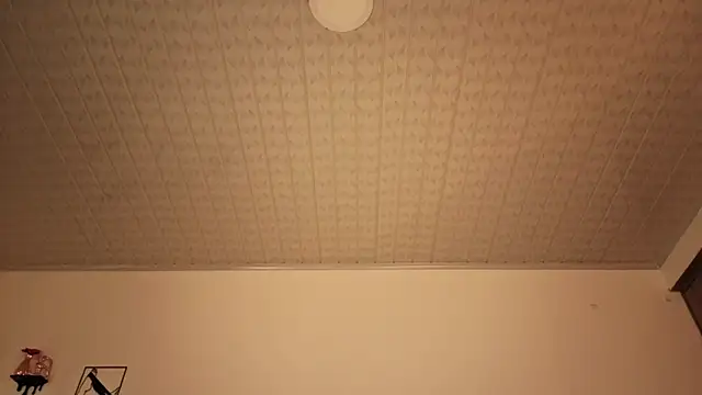 brandy_h9 live cam preview