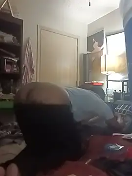 stressrliver88