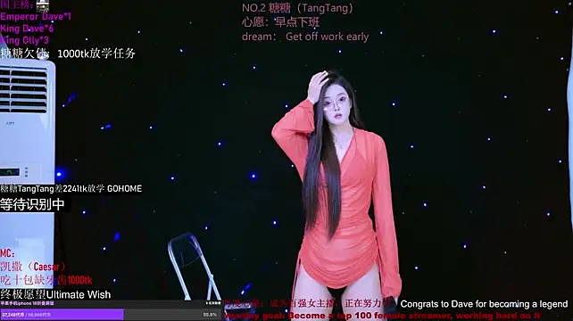 CCTW-100 webcam