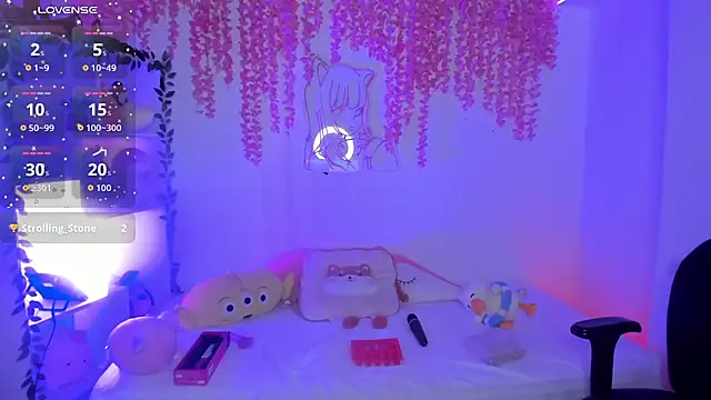 cat_kitty18_