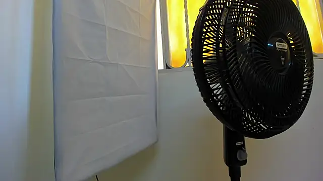 Duotentation26 live cam preview