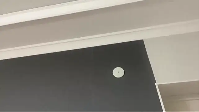 ThomasLieber live sex cam