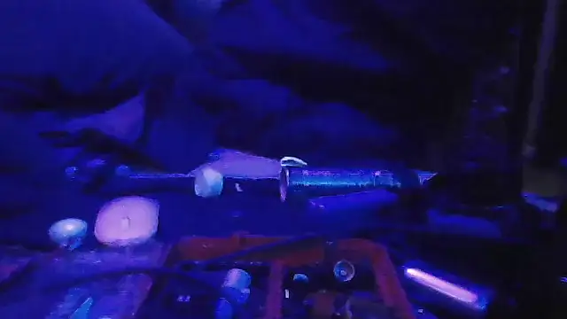 crassanova live cam preview