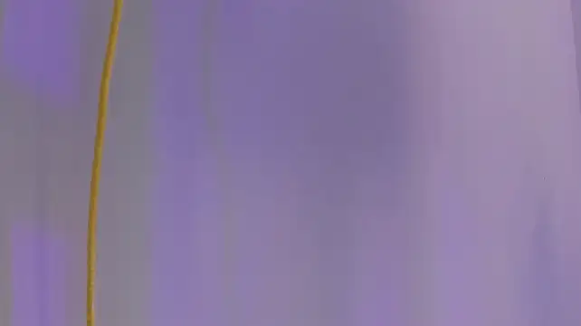 ArohomLester_