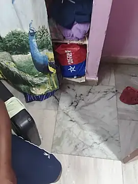 Neelimavennela_Telugu live cam preview