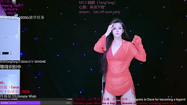 CCTW-100 webcam