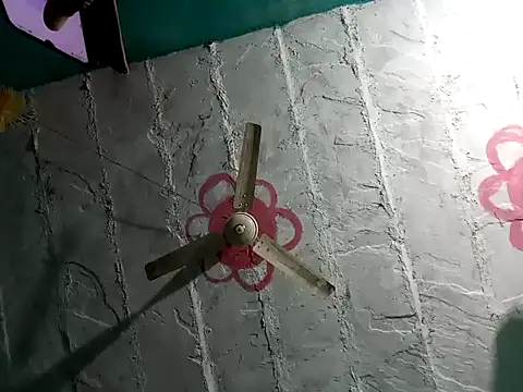Cut_rani11