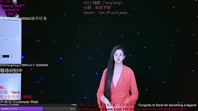 CCTW-100