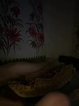 FANTASTIC-BOY webcam