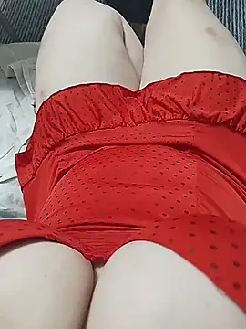 Old210 webcam