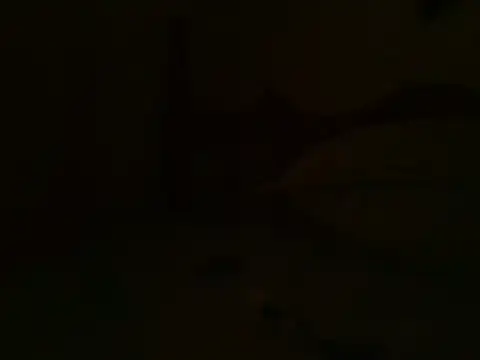 bbccol1 live cam preview