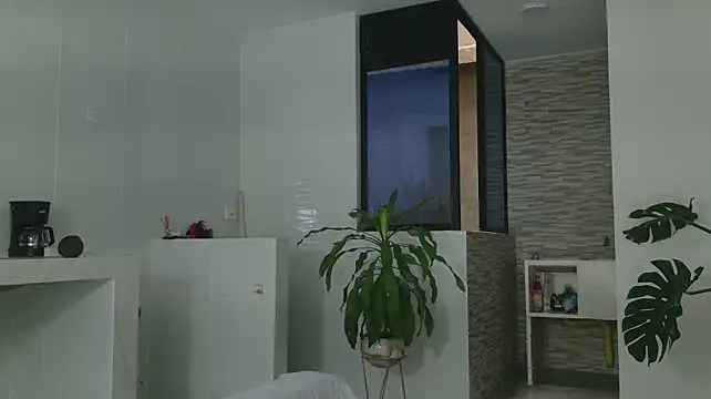 grey___27