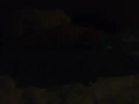 k-dong
