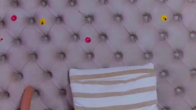 PlayfulShow