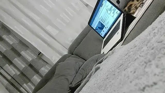 pimmelmann3 live cam preview