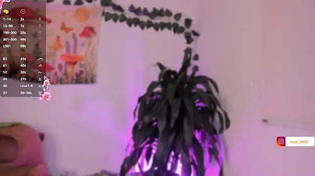 renee_shelby_ live cam preview